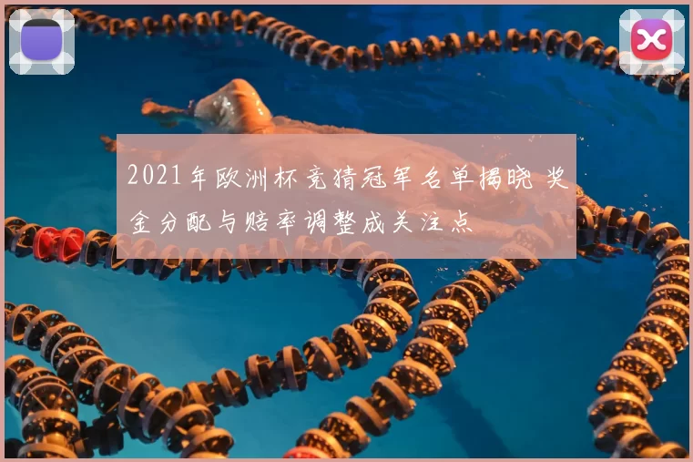 2021年欧洲杯竞猜冠军名单揭晓 奖金分配与赔率调整成关注点