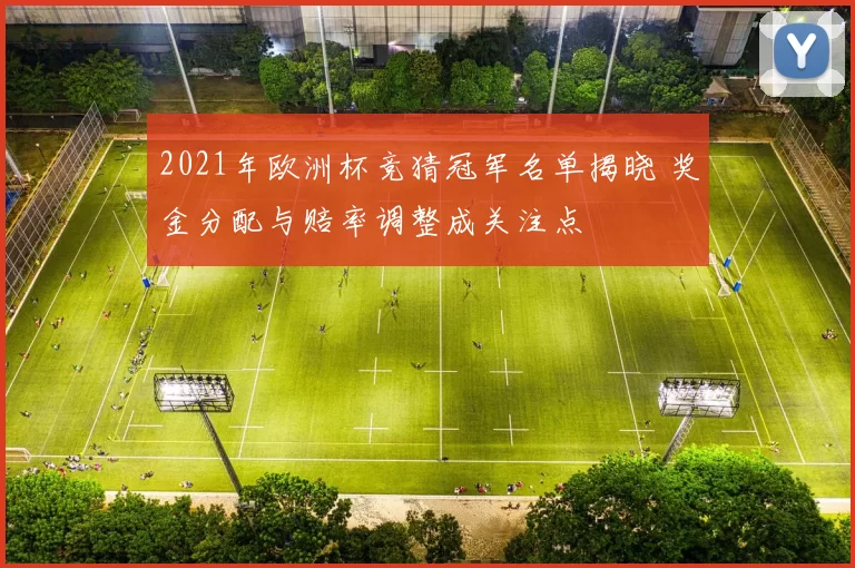 2021年欧洲杯竞猜冠军名单揭晓 奖金分配与赔率调整成关注点