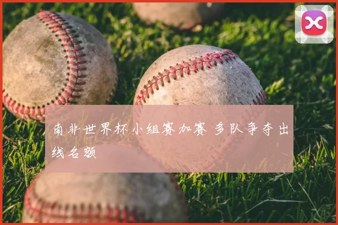南非世界杯小组赛加赛 多队争夺出线名额