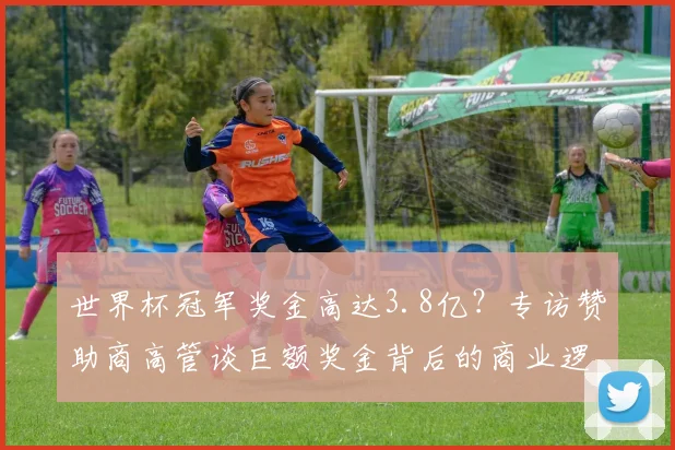 世界杯冠军奖金高达3.8亿?专访赞助商高管谈巨额奖金背后的商业逻辑