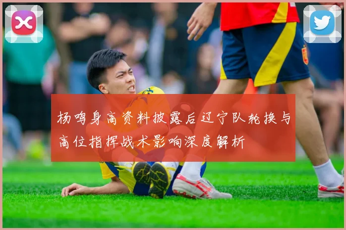 杨鸣身高资料披露后辽宁队轮换与高位指挥战术影响深度解析