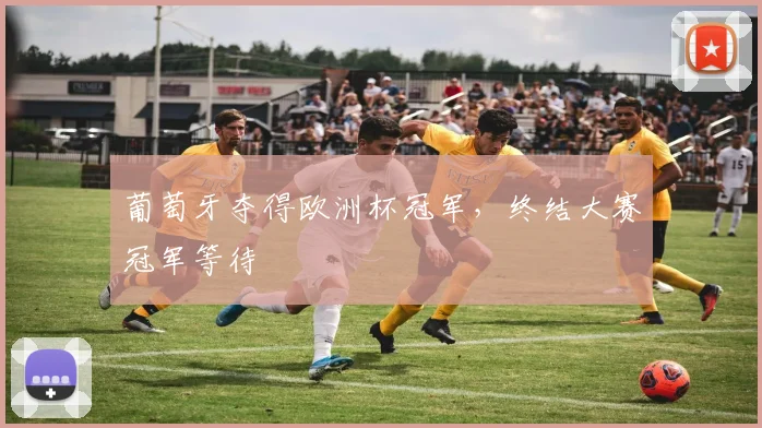 葡萄牙夺得欧洲杯冠军，终结大赛冠军等待