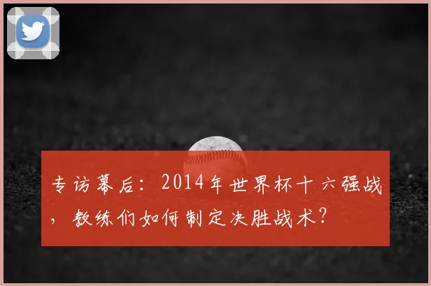 专访幕后：2014年世界杯十六强战，教练们如何制定决胜战术？