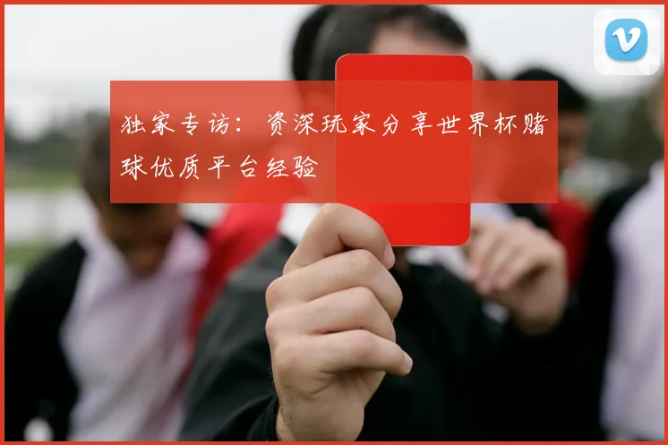 独家专访：资深玩家分享世界杯赌球优质平台经验