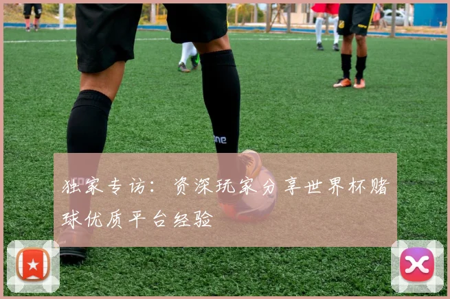 独家专访：资深玩家分享世界杯赌球优质平台经验