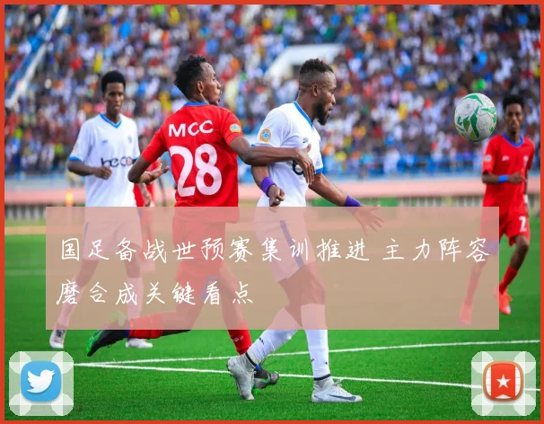 国足备战世预赛集训推进 主力阵容磨合成关键看点