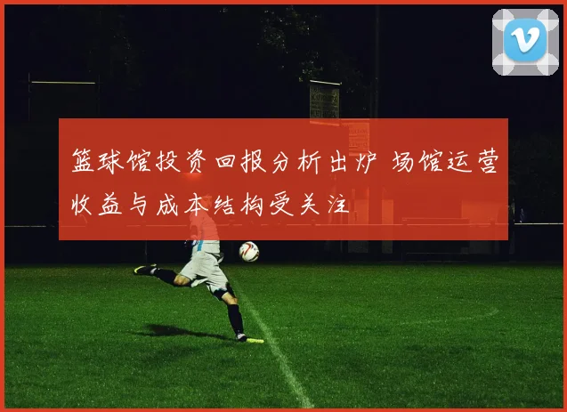 篮球馆投资回报分析出炉 场馆运营收益与成本结构受关注